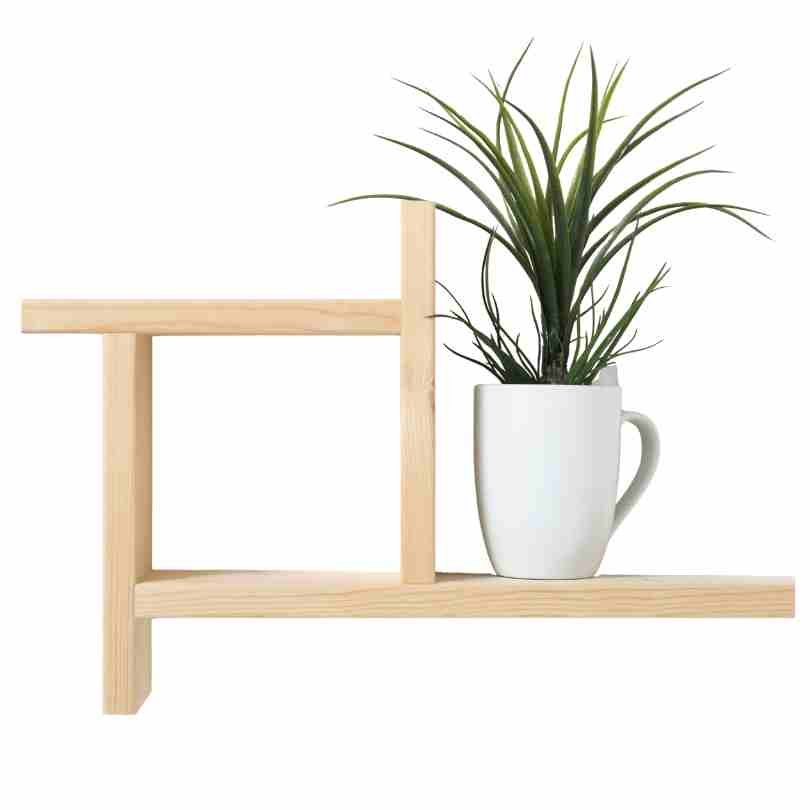 Wall Decor Shelves
